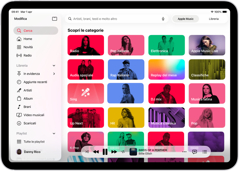 Il pannello Cerca nella barra laterale, a sinistra, e il campo di ricerca in alto. Sotto al campo di ricerca, sono presenti diverse categorie di musica. In basso a destra appare il mini-player.