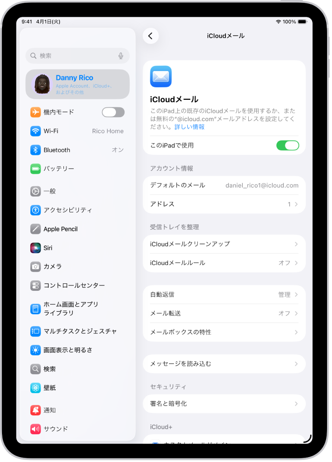 設定アプリが開いていて「iCloudメール」画面が表示されています。メニューの下には、「カスタムメールドメイン」が表示されています。