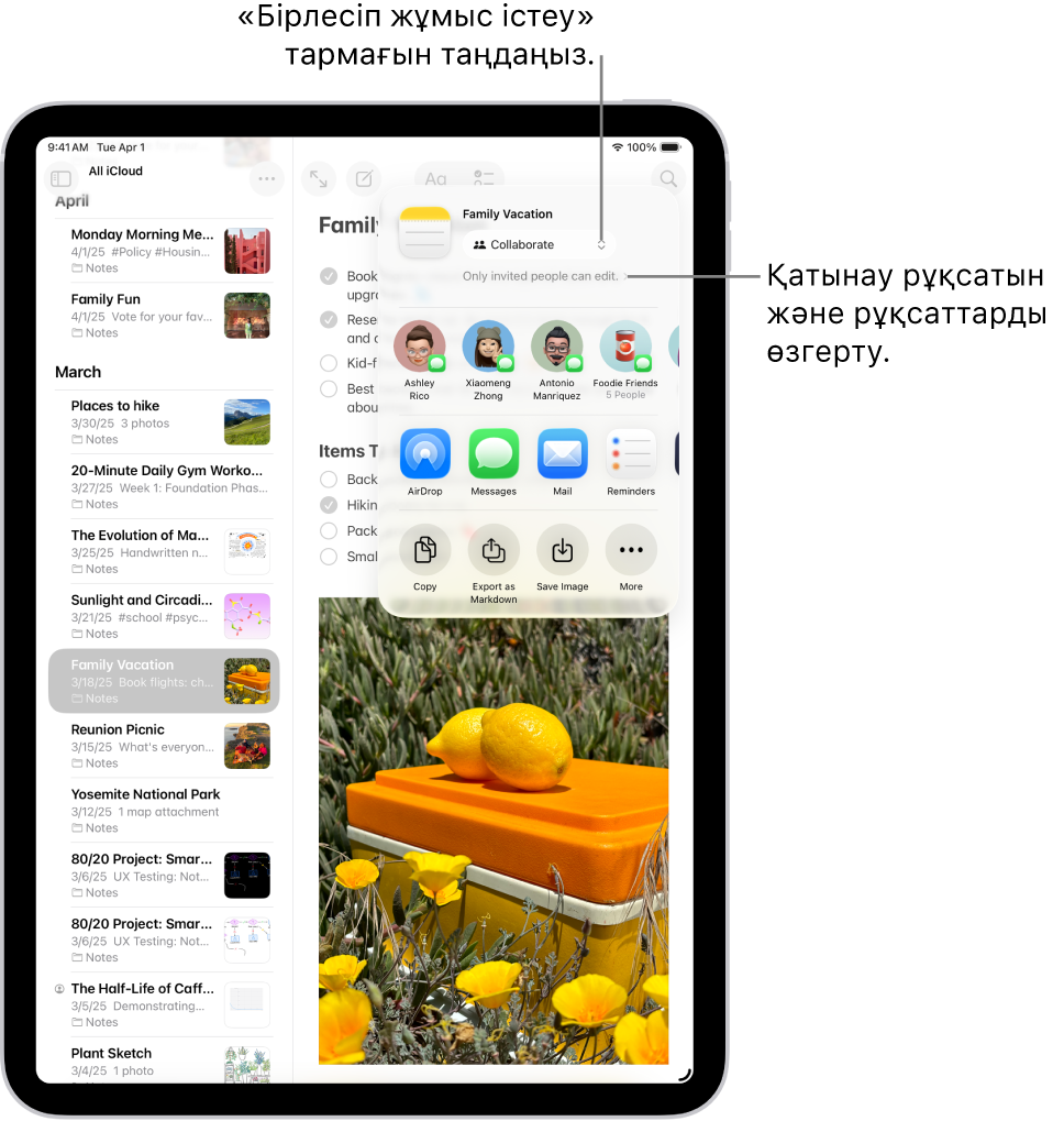 Бөлісу опциясы үшін «Бірлесіп жұмыс істеу» түймесін және кіру және рұқсат реттеуі ретінде «Шақырылған пайдаланушылар ғана өңдей алады» реттеуін көрсетіп тұрған «Жазбалар» қолданбасындағы тексеру тізіміне бірлесіп жұмыс істеу шақыруы. Төрт ықтимал алушы, соның ішінде бір топ одан төмен жолды құрайды. Келесі қатар жазбаны бөлісудің әртүрлі жолдарын ұсынады: AirDrop, «Хабарлар», «Пошта» және «Еске салғыш». Соңғы жолда жазбаны көшіру, эспорттау және сақтау үшін түймелер бар.
