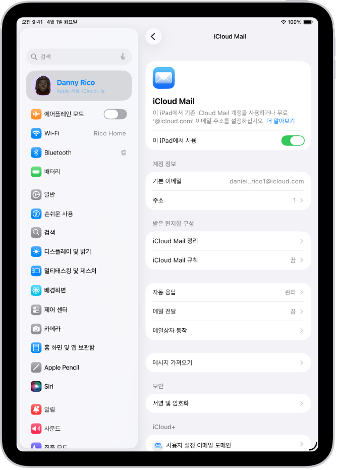 iCloud Mail 화면이 열려 있는 설정 앱. 메뉴 하단에 사용자 설정 이메일 도메인이 있음.