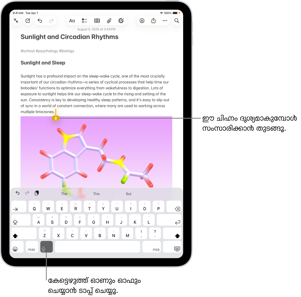‘കുറിപ്പുകൾ’ ആപ്പിൽ ഓൺസ്ക്രീൻ കീബോർഡ് തുറന്നിരിക്കുന്നു. കീബോർഡിന്റെ താഴെയുള്ള ‘കേട്ടെഴുത്ത്’ ബട്ടൺ സെലക്റ്റ് ചെയ്തിരിക്കുന്നു, ടെക്സ്റ്റ് ഫീൽഡിലെ ഇൻസേർഷൻ പോയിന്റിന് താഴെ ‘കേട്ടെഴുത്ത്’ ബട്ടൺ ദൃശ്യമാകുന്നു.
