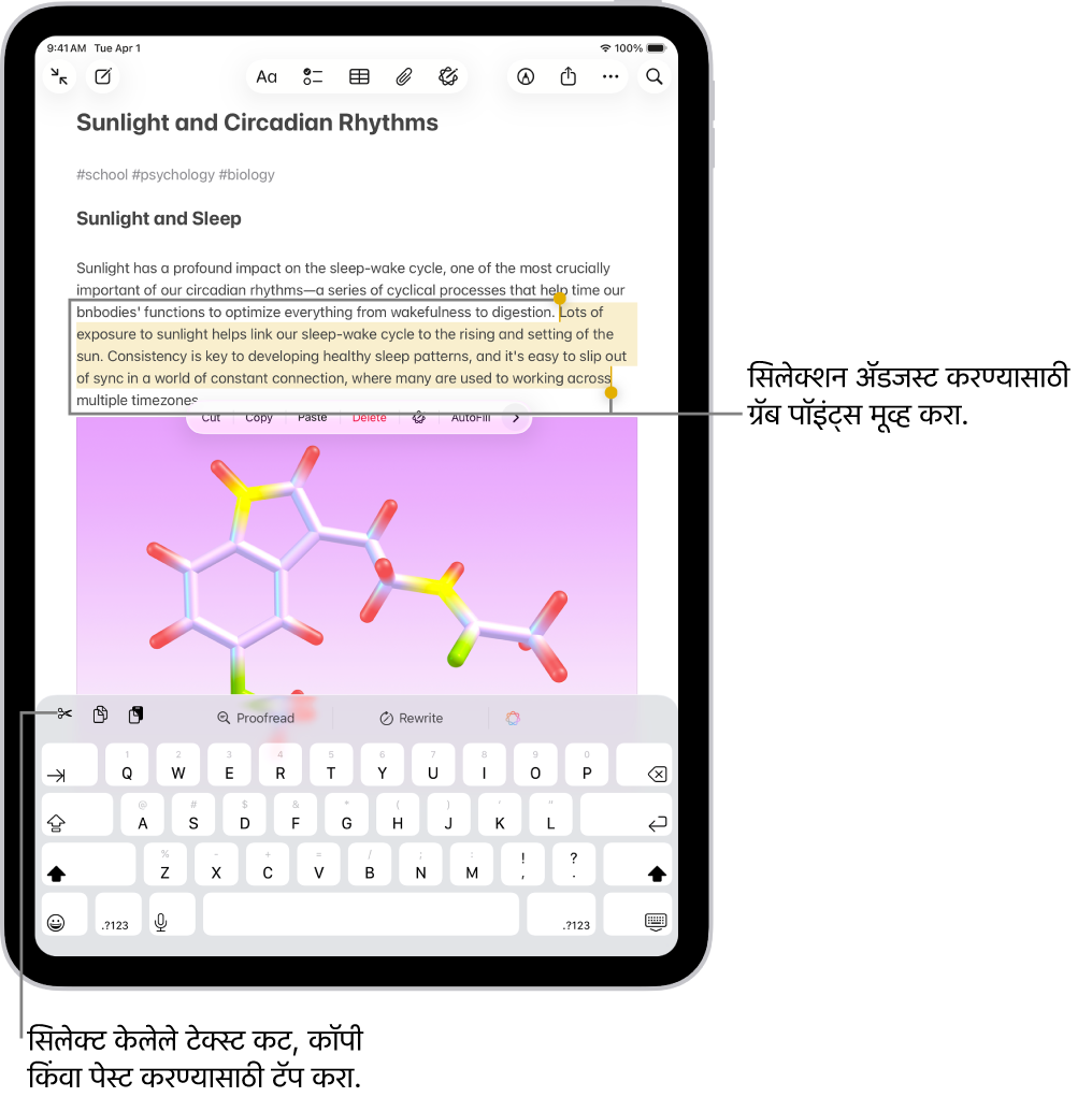 नोट्स ॲपमधील नोटमध्ये टेक्स्ट सिलेक्ट केले गेले आहे. सिलेक्ट केलेल्या टेक्स्टच्या वर ‘कट करा’, ‘कॉपी करा’ आणि ‘पेस्ट करा’ ह्या बटणांचा मेन्यू आहे. दोन्ही बाजूंना सिलेक्शन ॲडजस्ट करण्यासाठी ग्रॅब पॉइंटसह सिलेक्ट केलेले टेक्स्ट हायलाइट केले जाते.