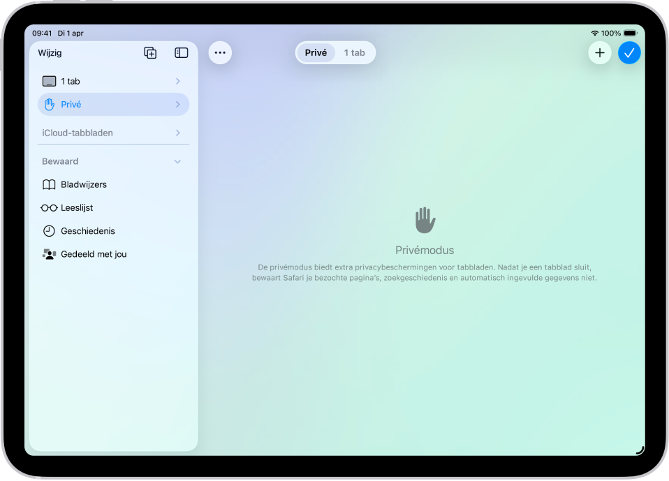 De navigatiekolom van Safari aan de linkerkant van het Safari-venster is geopend en 'Privé' is geselecteerd. Aan de rechterkant staat een melding waarin wordt uitgelegd dat Safari je browseractiviteiten niet bewaart.