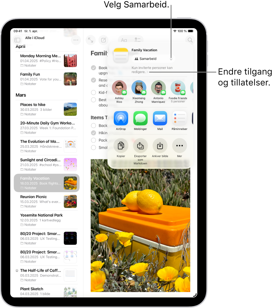 En samarbeidsinvitasjon til en sjekkliste i Notater viser Samarbeid som delingsvalg og «Kun personer du inviterer, kan redigere» som tilgangs- og rettighetsinnstilling. Fire mulige mottakere, inkludert en gruppe, vises som en rad under. Den neste raden viser forskjellige måter å dele notatet på: AirDrop, Meldinger, Mail og Påminnelser. Den siste raden viser knapper for å kopiere, eksportere og arkivere notatet.
