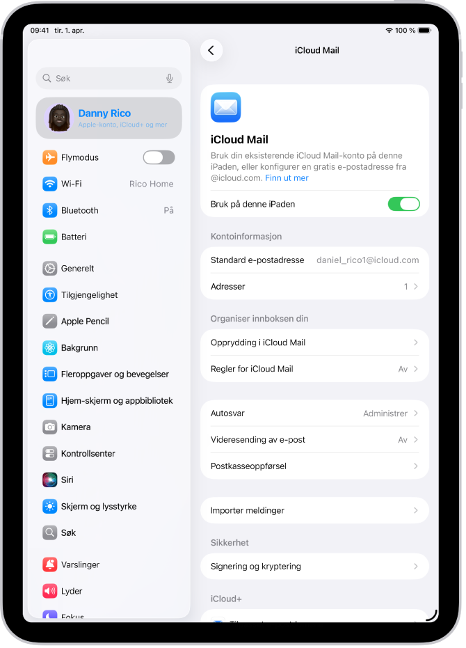 Innstillinger-appen, med iCloud Mail-skjermen åpen. Tilpasset e-postdomene vises nederst i menyen.