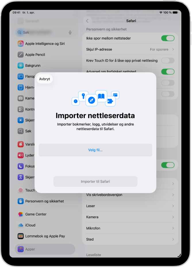 Importer nettleserdata-skjermen viser data fra en annen nettleser som skal importeres til Safari.