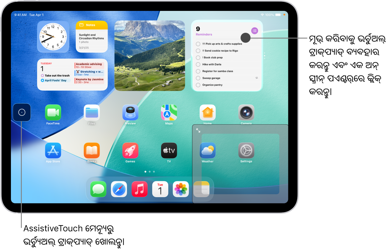 ସ୍କ୍ରୀନ୍‌ କୋଣରେ ଏକ ଭର୍ଚୁଆଲ୍ ଟ୍ରାକ୍‌ପ୍ୟାଡ୍ ସହିତ ଏକ iPad ଡିସ୍‌ପ୍ଲେ ହୋଇଛି। ସ୍କ୍ରୀନ୍‌ରେ AssistiveTouch ମେନ‍୍ୟୂ (ଯାହା ଟ୍ରାକ୍‌ପ୍ୟାଡ୍ ଖୋଲିବା ପାଇଁ ବ୍ଯବହୃତ ହୁଏ) ଏବଂ ପଏଣ୍ଟର୍ (ଯାହା ଟ୍ରାକ୍‌ପ୍ୟାଡ୍ ଦ୍ୱାରା କଣ୍ଟ୍ରୋଲ୍‌) ମଧ୍ଯ ଅଛି।