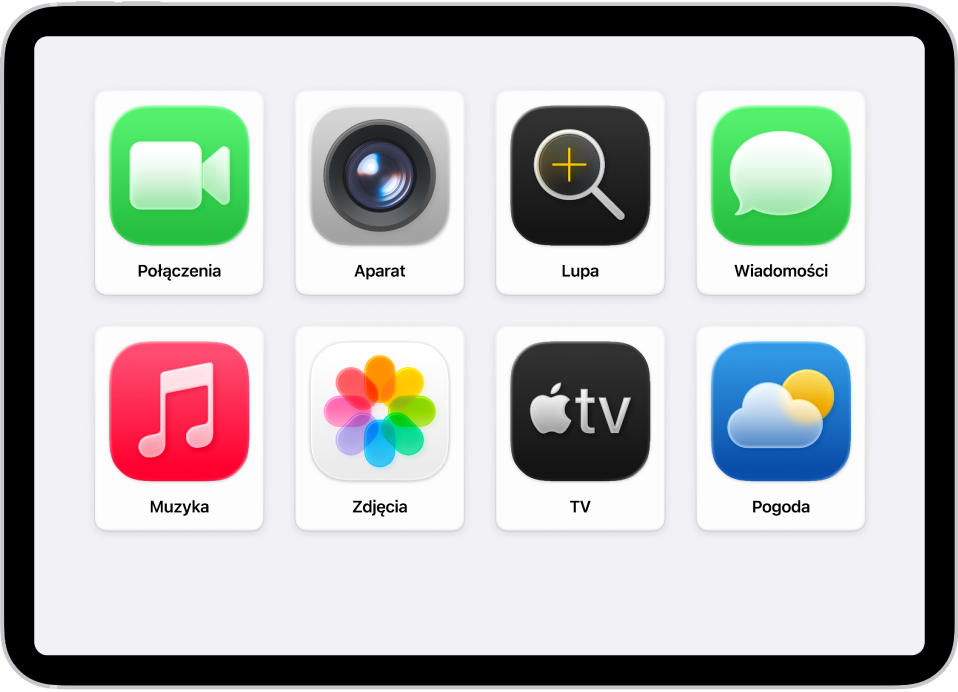 iPad wyświetlający ekran główny funkcji Dostęp wspomagany z dużą siatką aplikacji.