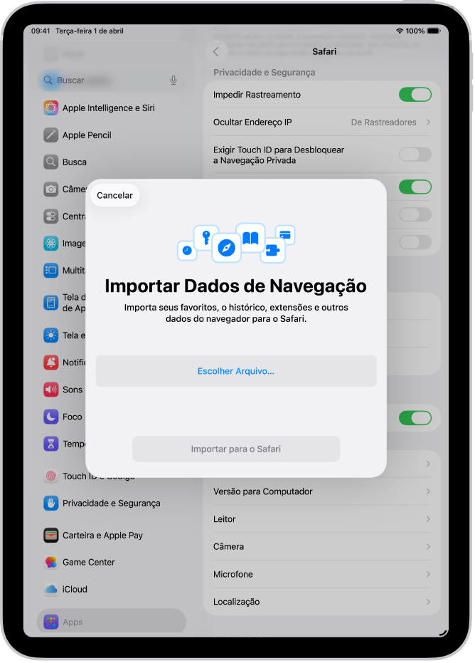 Tela Importar Dados de Navegação, mostrando os dados de um outro navegador que serão importados para o Safari.