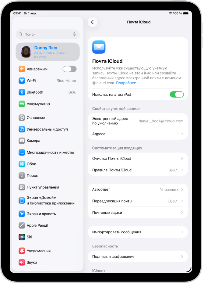 Приложение «Настройки». Открыт экран «Почта iCloud». В нижней части меню отображается параметр «Пользовательский домен».