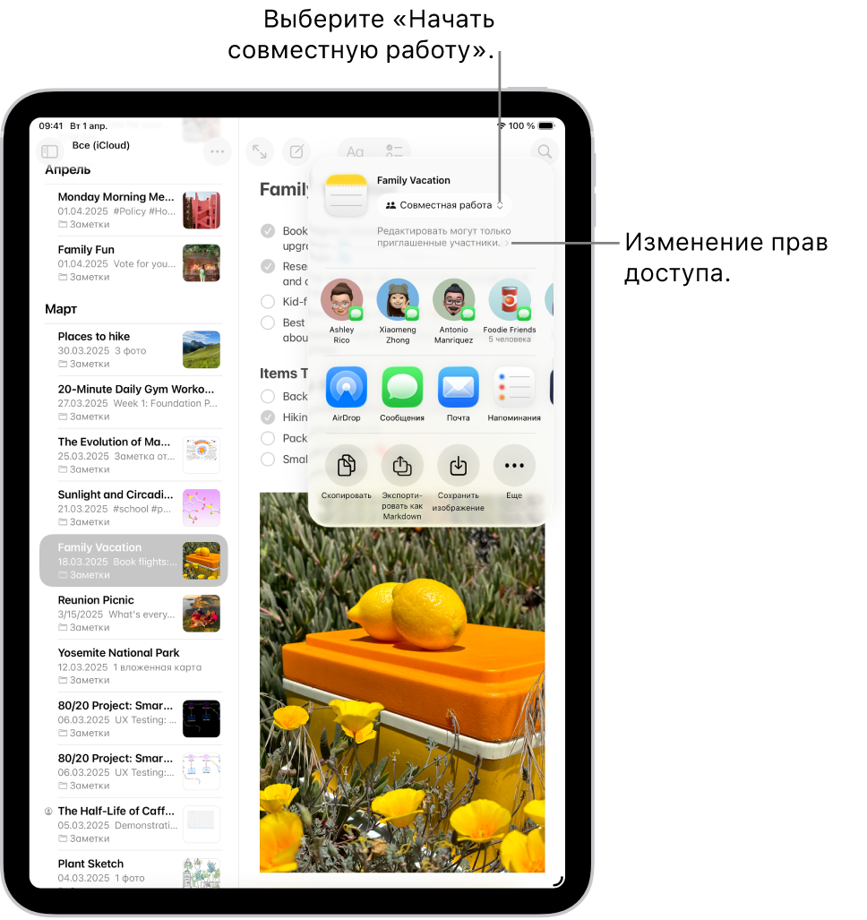 Приглашение к совместной работе над контрольным списком в Заметках. Показаны вариант отправки «Совместная работа» и настройка прав доступа «Редактировать могут только приглашенные участники». Ниже показан ряд из четырех возможных получателей, в том числе группа. В следующем ряду представлены несколько вариантов для отправки заметки: AirDrop, Сообщения, Почта и Напоминания. В последнем ряду доступны кнопки для копирования, экспорта и сохранения заметки.
