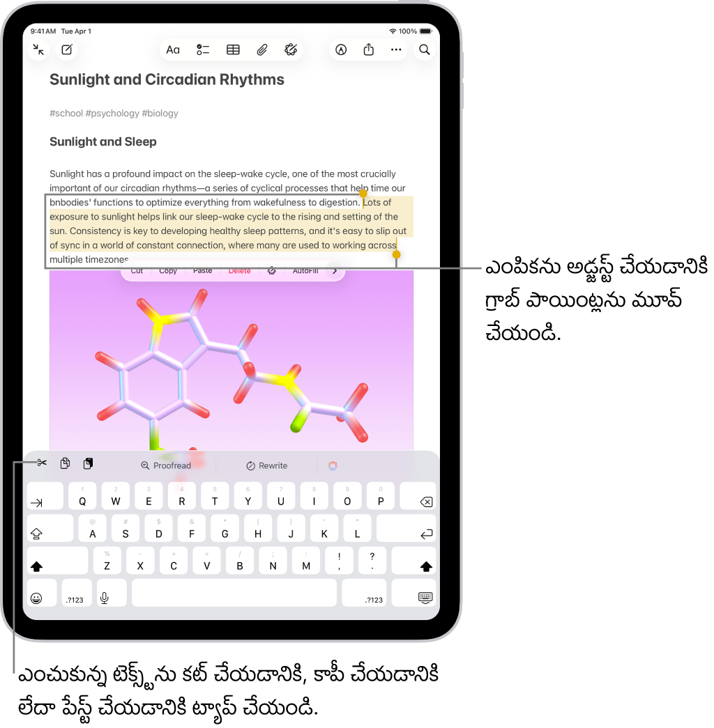 నోట్స్ యాప్‌లోని గమనిక‌లో టెక్స్ట్ ఎంచుకోబడింది. ఎంచుకున్న టెక్స్ట్ పైన కట్, కాపీ, పేస్ట్‌తో సహా బటన్‌ల మెన్యూ ఉంది. ఎంచుకున్న టెక్స్ట్ హైలైట్ చేయబడింది, దానికి రెండు వైపులా ఎంపికను అడ్జస్ట్ చేయడానికి గ్రాబ్ పాయింట్‌లు ఉన్నాయి.