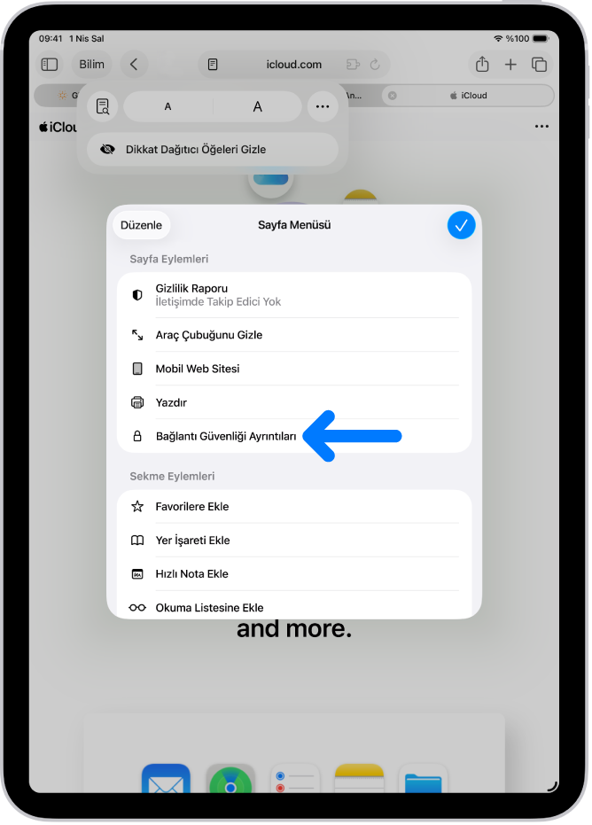 Safari’de Sayfa Menüsü açık ve sayfanın ortasında Bağlantı Güvenliği Ayrıntıları denetimi var.