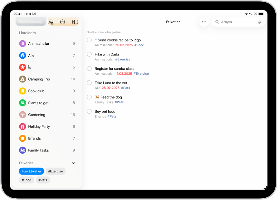 Anımsatıcılar ekranının sol alt tarafında gösterilen Etiket Tarayıcı’da Tüm Etiketler seçili. Sağ tarafta etiket içeren tüm öğelerin bir listesi var.