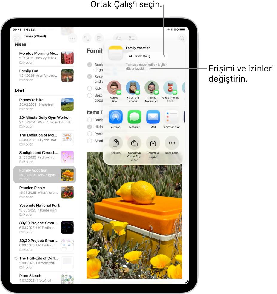 Notlar’daki bir yapılacaklar listesine ortak çalışma daveti; paylaşma seçeneği olarak Ortak Çalış, erişim ve izin ayarı olarak “Yalnızca davet ettiğiniz kişiler düzenleyebilir” gösteriliyor. Bir grup da dahil olmak üzere dört olası alıcı, bunun altında bir satır oluşturuyor. Sırada satır, notu paylaşmanın farklı yollarını sunar: AirDrop, Mesajlar, Mail ve Reminders. Son satırda notu kopyalama, dışa aktarma ve kaydetme düğmeleri bulunuyor.