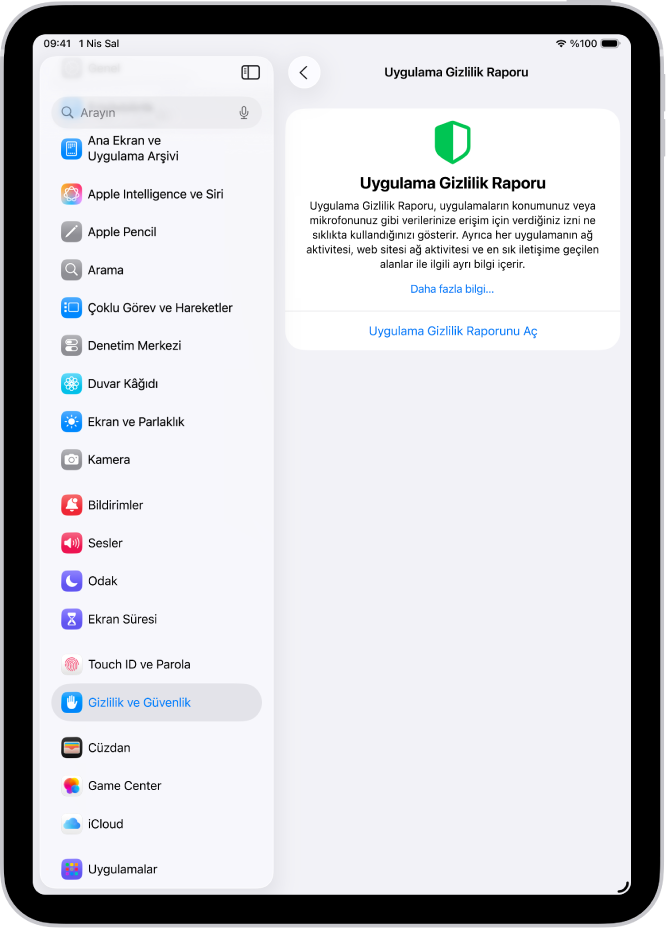 Uygulamanın ona verdiğiniz izinleri ne sıklıkta kullandığını ve ağ etkinliğini gösteren bir raporu açabileceğiniz Uygulama Gizlilik Raporu ekranı.