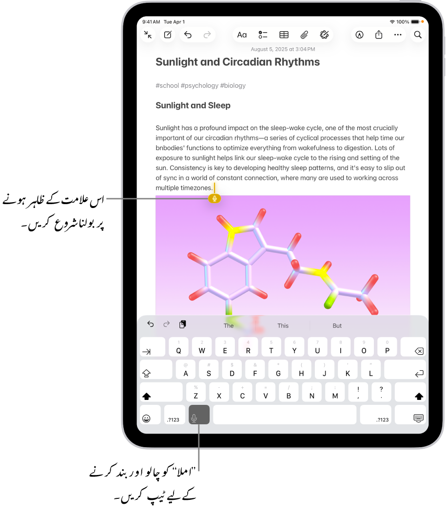 آن اسکرین کی بورڈ نوٹ ایپ میں کھلا ہے۔ کی بورڈ کے نچلے حصے میں املا کا بٹن منتخب کیا گیا ہے اور املا کا بٹن متن کے خانے میں انسرشن پوائنٹ کے نیچے ظاہر ہو رہا ہے۔