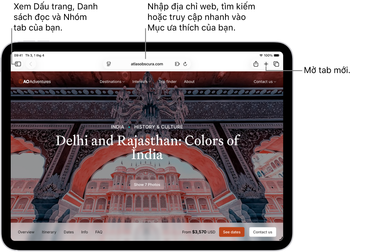 Một trang web được mở. Dọc theo cạnh trên, từ trái sang phải, là nút Thanh bên, nút Trước đó, trường tìm kiếm, nút Chia sẻ, nút Tab mới và nút Tổng quan tab.