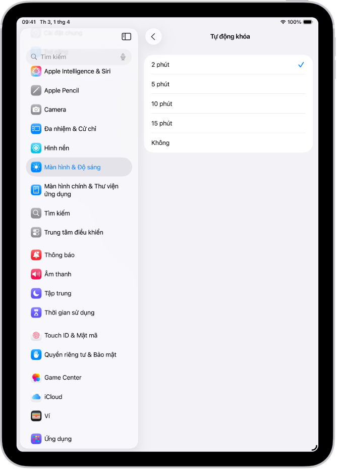 Màn hình Tự động khóa, với các cài đặt cho khoảng thời gian trước khi iPad tự động khóa.