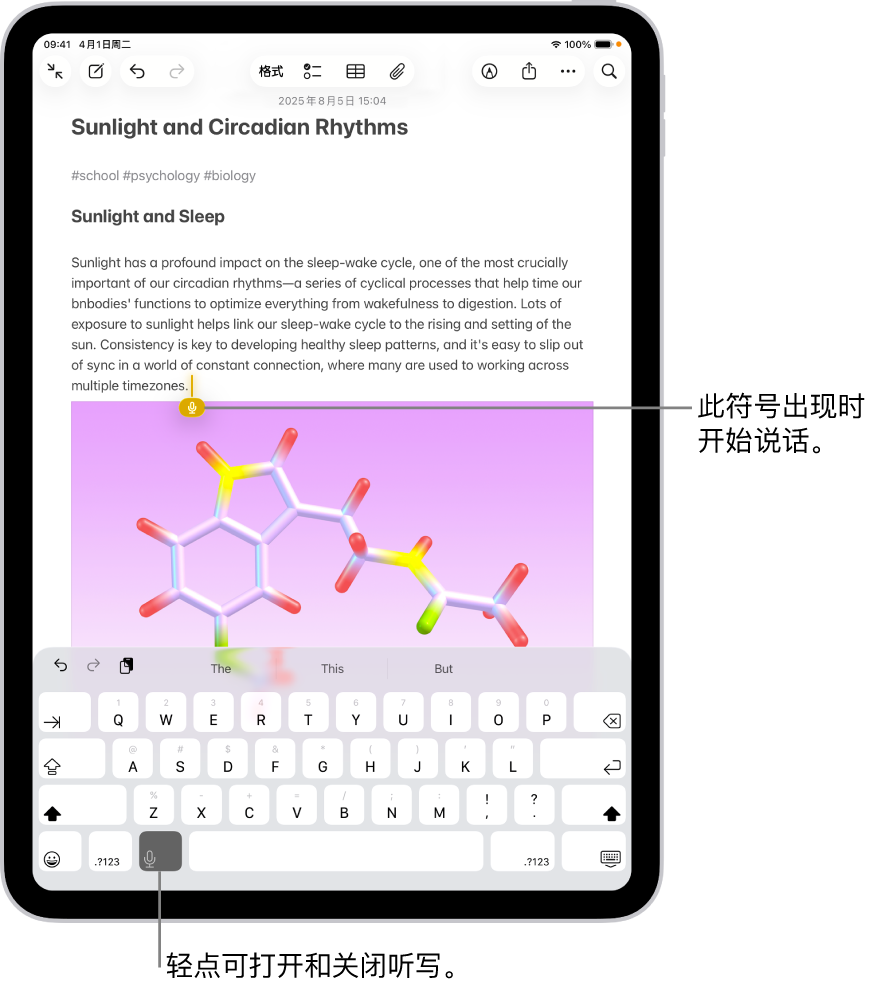 “备忘录” App 中打开的屏幕键盘。键盘底部的“听写”按钮已选中，“听写”按钮显示在文本栏中插入点的下方。