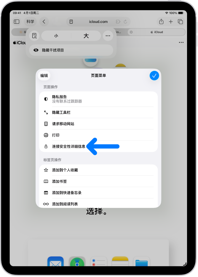 “页面菜单”在 Safari 浏览器中打开,“连接安全性详细信息”控制位于页面中部。