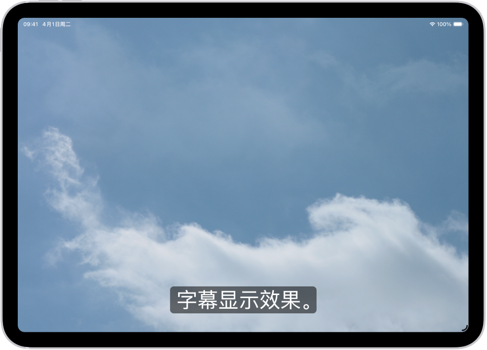 iPad 显示带有自定义样式的字幕示例。