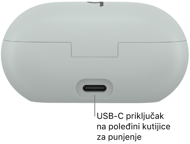 USB-C priključak za punjenje na poleđini kutijice za punjenje slušalice Beats Solo Buds.