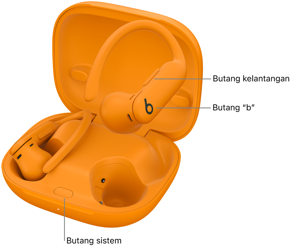 Imej Powerbeats Pro 2 menunjukkan lokasi butang “b” pada bud telinga dan lokasi butang sistem di dalam bekas pengecasan.