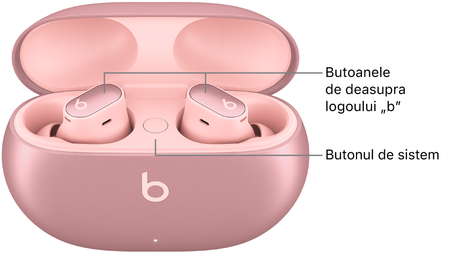 Imagine cu Beats Studio Buds + afișând locul butoanelor de deasupra logoului „b” de pe căștile intraauriculare și locul butonului de sistem din carcasa de încărcare.