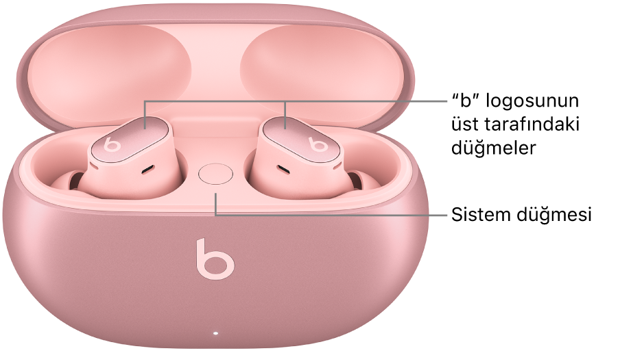 Kulaklıklardaki “b” logosunun üst tarafında bulunan düğmelerin konumunu ve şarj kutusunun içinde sistem düğmesinin konumunu gösteren Beats Studio Buds + görüntüsü.