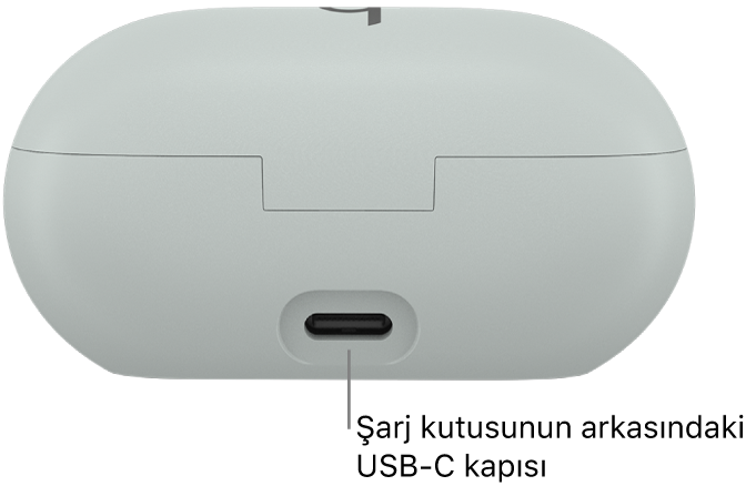 Beats Solo Buds şarj kutusunun arkasındaki USB-C şarj kapısı.