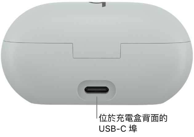 Beats Solo Buds 充電盒背面的 USB-C 充電埠。