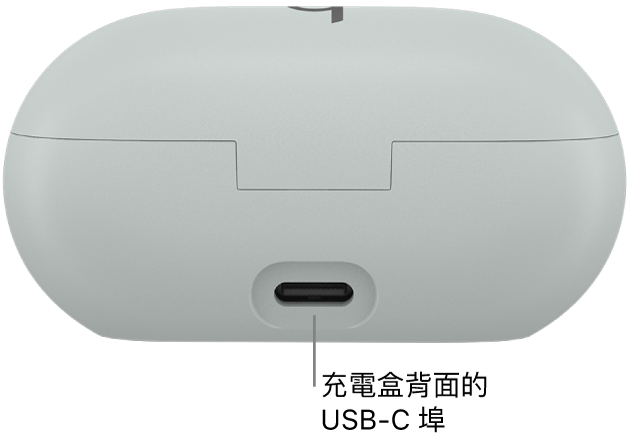 Beats Solo Buds 充電盒背面的 USB-C 充電埠。