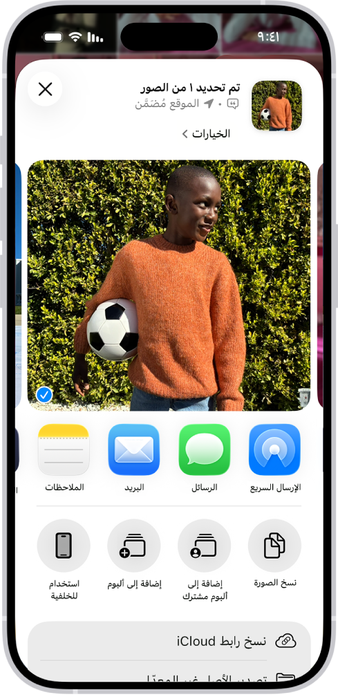 صورة محددة تظهر في النصف العلوي من شاشة iPhone، مع ظهور صف من خيارات المشاركة تحتها. خيارات إضافية تظهر أدناه، بما في ذلك نسخ الصورة، وإضافة إلى ألبوم مشترك، وإضافة إلى الألبوم، واستخدام للخلفية.
