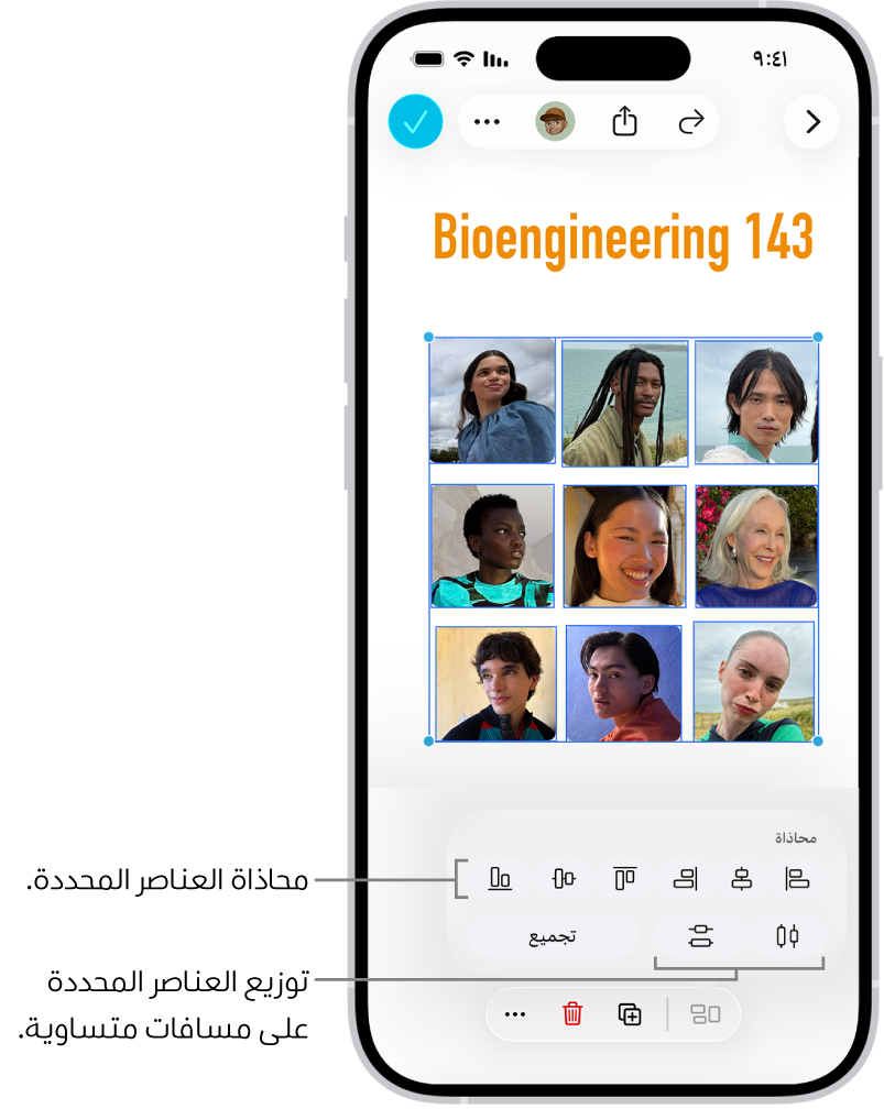 لوحة في تطبيق المساحة الحرة تملؤها عدة صور في شبكة. صور متعددة محددة، وتظهر أدوات المحاذاة والتجميع فوقها.