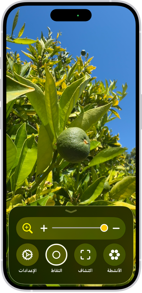تطبيق المكبر تظهر به صورة مكبرة لبرتقالة لم تنضج بعد.