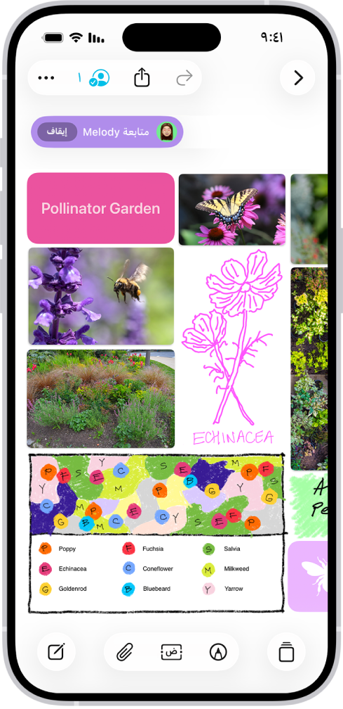 تطبيق المساحة الحرة مفتوح على iPhone. تتضمن اللوحة الكتابة اليدوية والنصوص والرسومات والأشكال والصور والفيديوهات والملاحظات اللاصقة والروابط والملفات الأخرى.