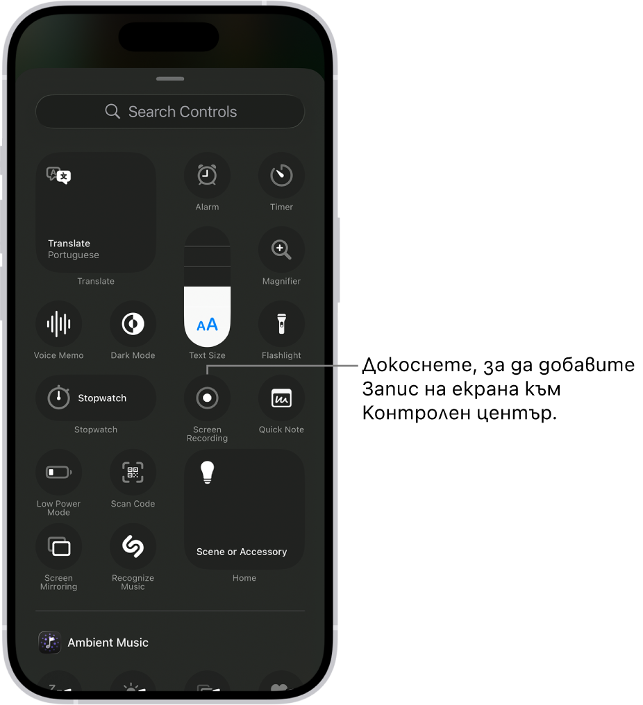 Екран, който показва бутони за управление, които можете да добавите към Контролен център. Бутонът Запис на екрана е в средата.
