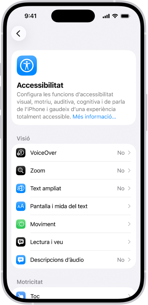 La pantalla d’accessibilitat a l’app Configuració mostrant les funcions integrades per al suport visual.
