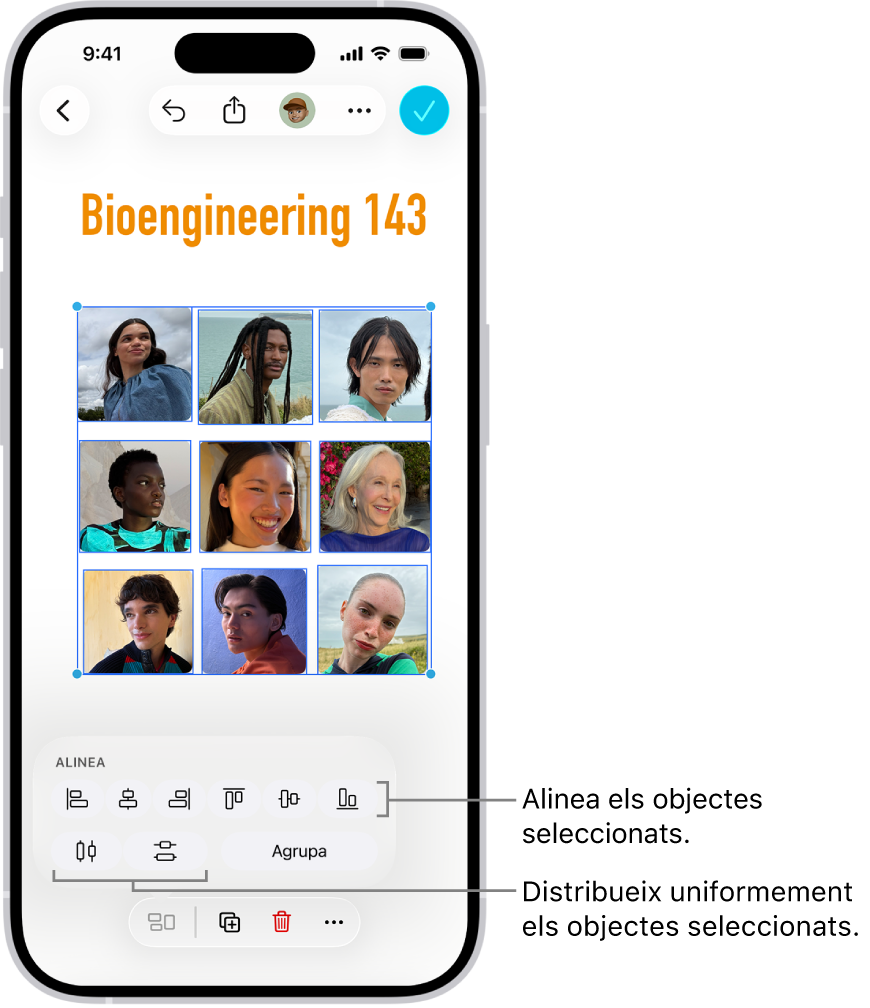 Una pissarra del Freeform emplenada amb una retícula de fotos. Se seleccionen diverses fotos i, al damunt, apareixen les eines d’alineació i agrupament.
