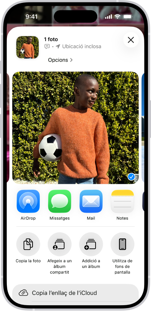 A la meitat superior de la pantalla de l’iPhone es mostra una foto amb una fila d’opcions per compartir a sota. A sota apareixen més opcions, entre les quals hi ha “Copia la foto”, “Afegeix a un àlbum compartit”, “Afegeix a un àlbum” i “Utilitza de fons de pantalla”.