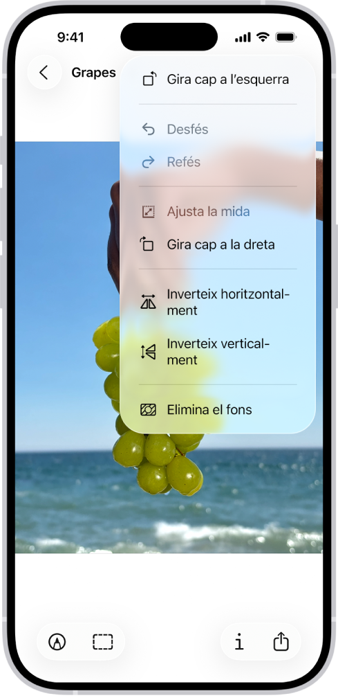 Una pantalla mostra una imatge on hi ha un ram de raïm en primer pla. Un menú mostra l’opció “Elimina el fons”. A la part inferior de la pantalla hi ha els botons “Marques”, “Escapça”, “Informació” i “Comparteix”.