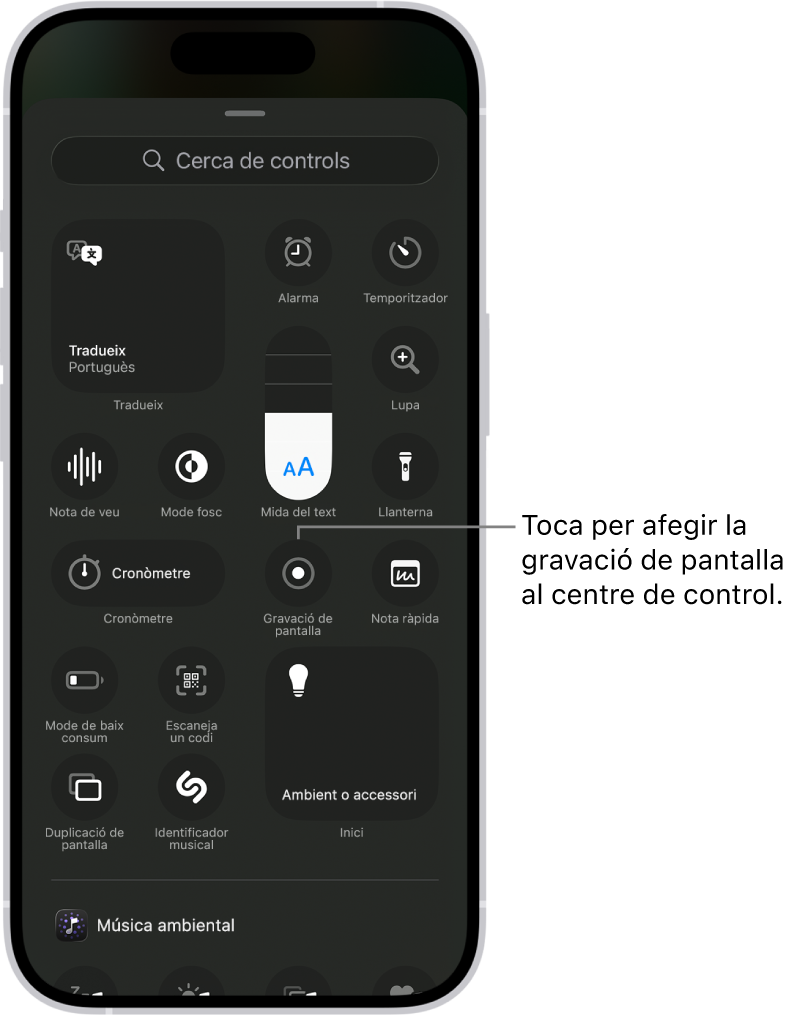 Una pantalla en què es veuen els controls que pots afegir al centre de control. El control de gravació de pantalla és a prop del centre.