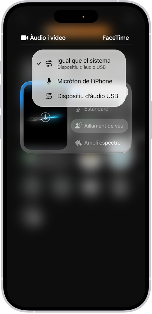 Els controls per seleccionar una font d’entrada d’àudio per a una trucada del FaceTime.