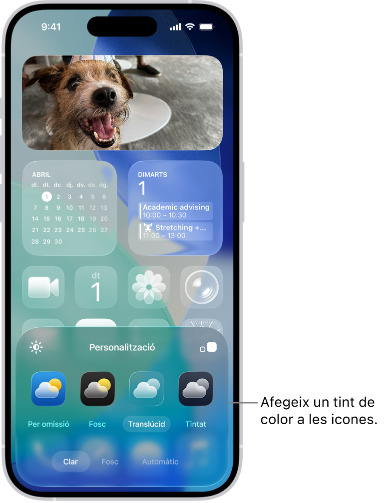 Una pantalla d’inici personalitzada amb les icones translúcides tenyides de blau, ordenades per emmarcar la foto i controls per personalitzar les icones a la part inferior de la pantalla. Hi ha les opcions “Automàtic”, “Fosc”, “Clar” i “Tintat” per configurar el color i la saturació, i els botons “Petita” i “Gran” per configurar la mida de les icones.