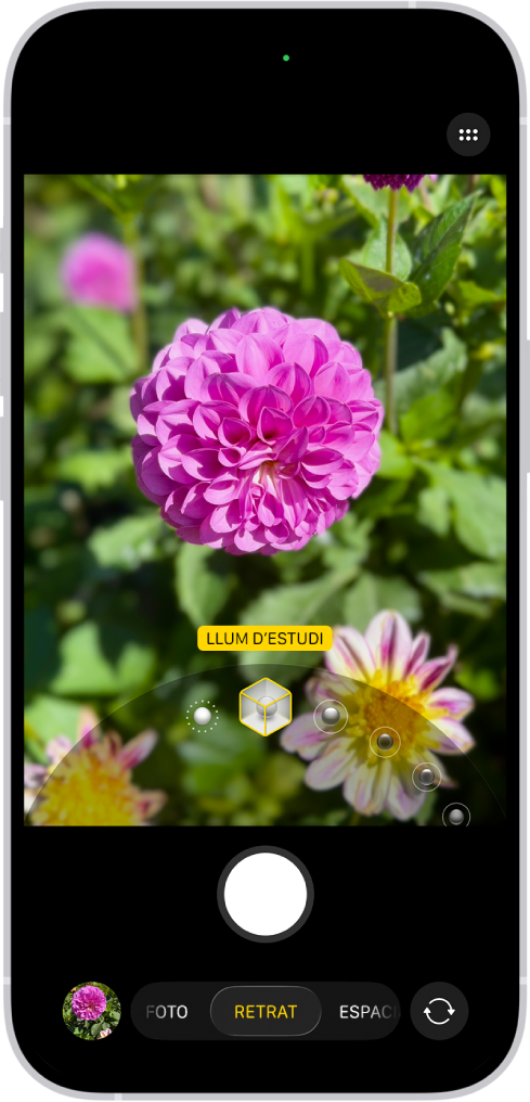 Pantalla de l’app Càmera en mode de retrat. Al visor, el subjecte es veu nítid i el fons, difuminat. El dial per seleccionar “Il·luminació de retrat” està obert a la part inferior del marc, i hi ha seleccionada l’opció “Llum d’estudi”.