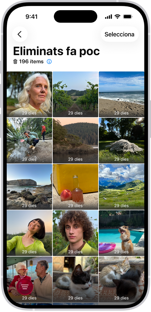 Es mostra l’app “Eliminat fa poc” a l’app Fotos. Les fotos eliminades fa poc apareixen en una retícula a la pantalla.
