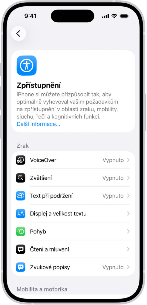 Obrazovka Zpřístupnění v Nastavení s vestavěnými funkcemi pro zrakovou podporu.