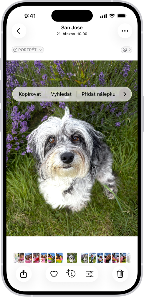 V aplikaci Fotky je otevřená fotka psa. Pes je vybraný a v nabídce nahoře je k dispozici volba Přidat nálepku.