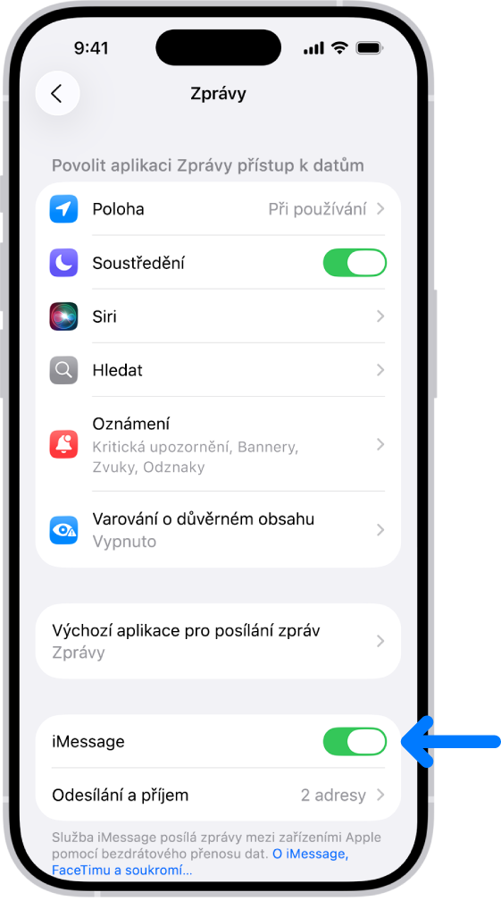 Panel nastavení Zprávy se zapnutou službou iMessage